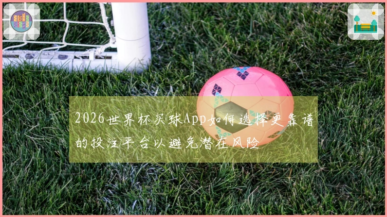 2026世界杯买球App如何选择更靠谱的投注平台以避免潜在风险