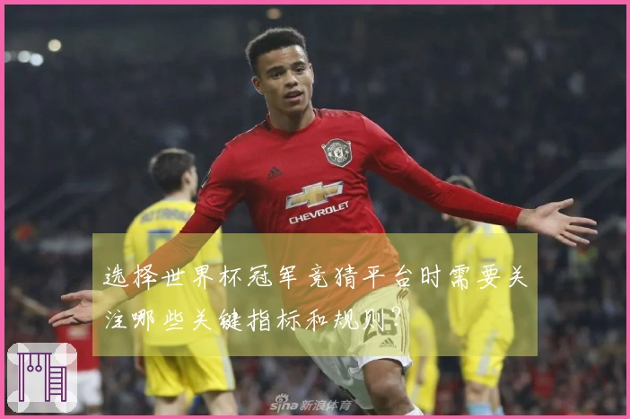 选择世界杯冠军竞猜平台时需要关注哪些关键指标和规则？