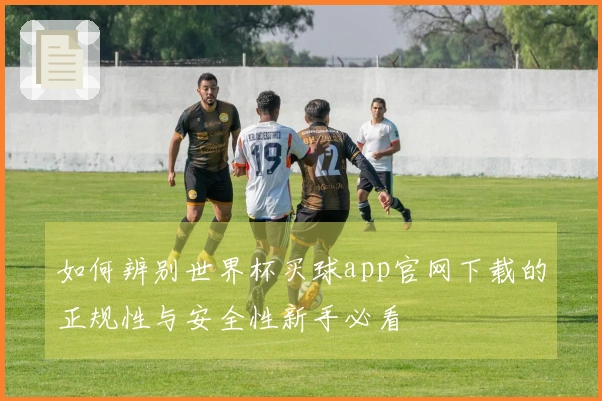 如何辨别世界杯买球app官网下载的正规性与安全性新手必看