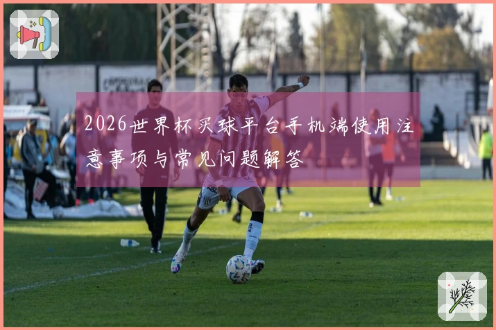2026世界杯买球平台手机端使用注意事项与常见问题解答