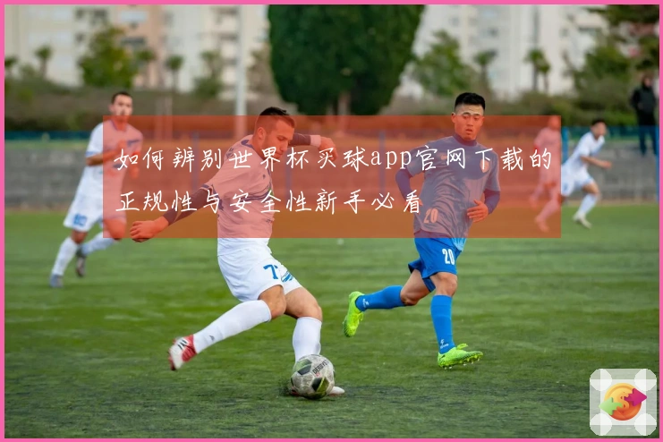如何辨别世界杯买球app官网下载的正规性与安全性新手必看