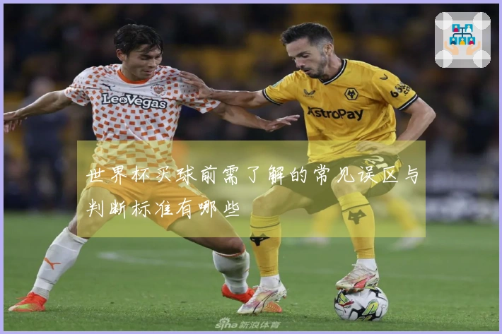 世界杯买球前需了解的常见误区与判断标准有哪些